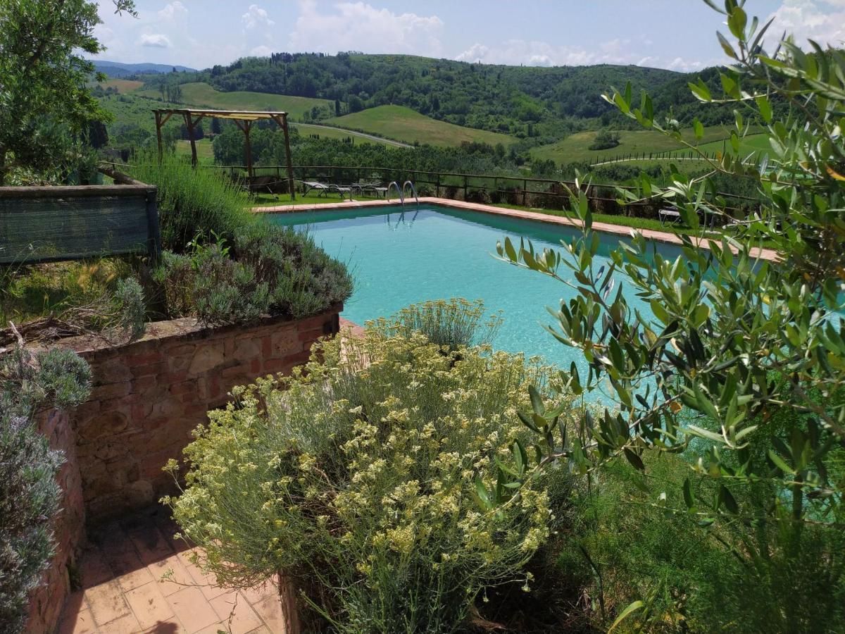 Antonella House -Podere Della Collina 帕拉亚 外观 照片