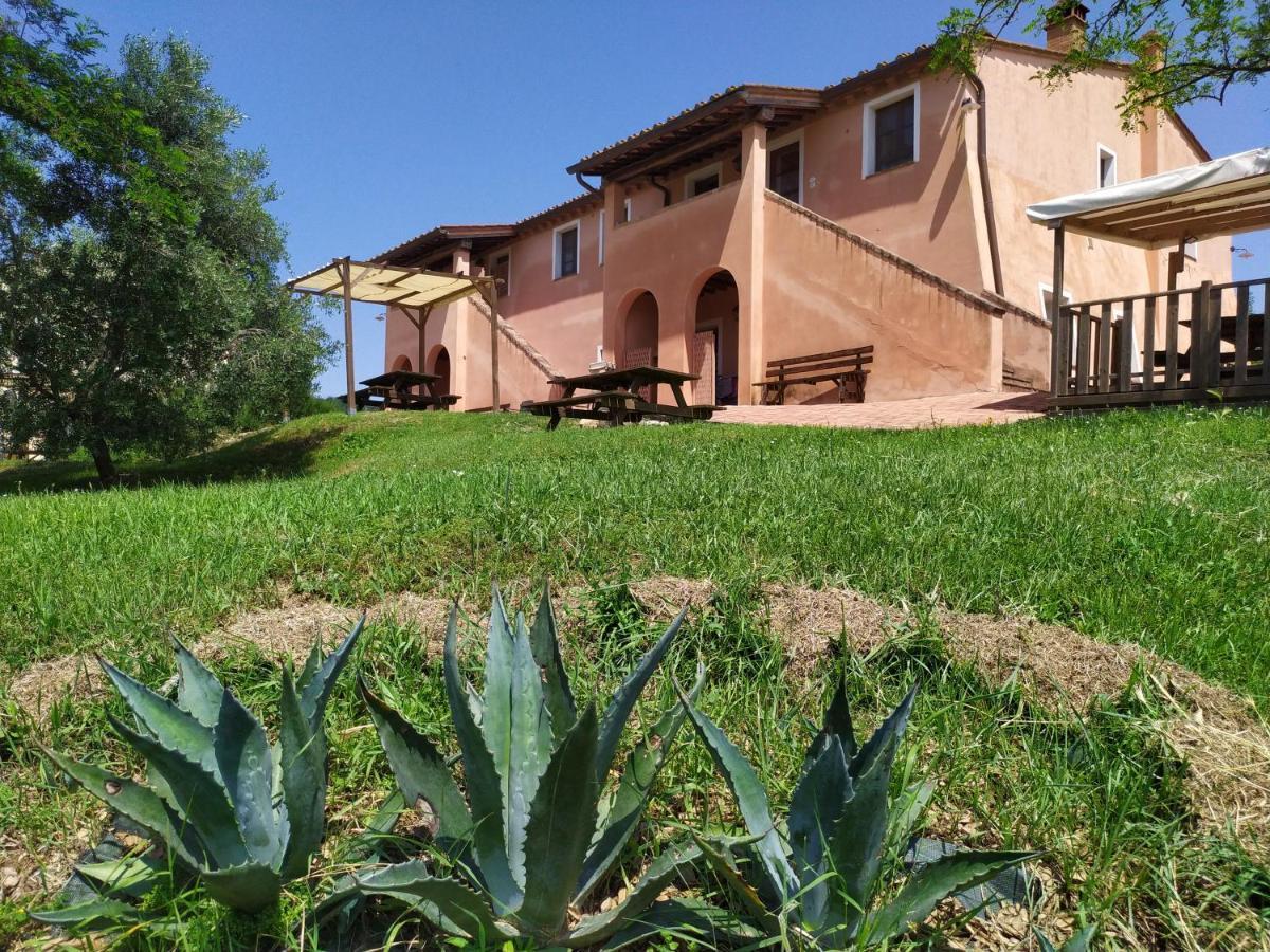 Antonella House -Podere Della Collina 帕拉亚 外观 照片